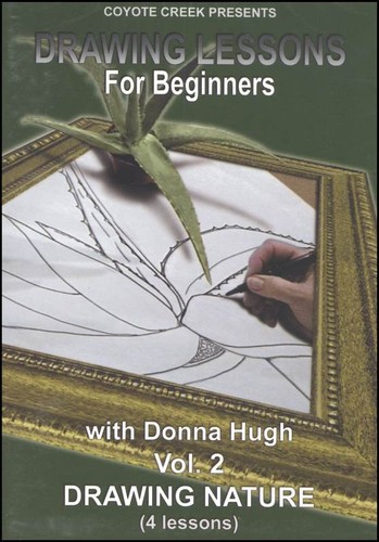 Drawing lessons for beginners - lessons,